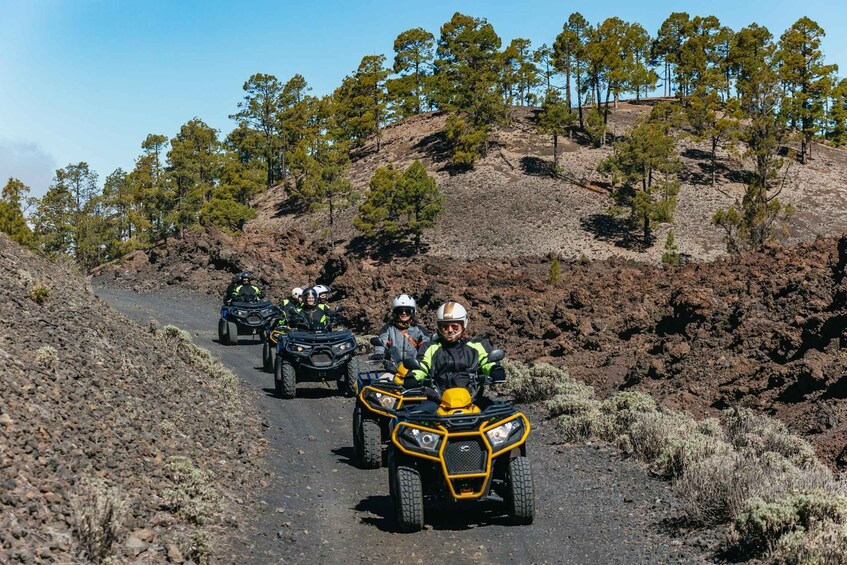 Picture 10 for Activity From Costa Adeje: Mount Teide Forest Off-Road Quad Bike Tour