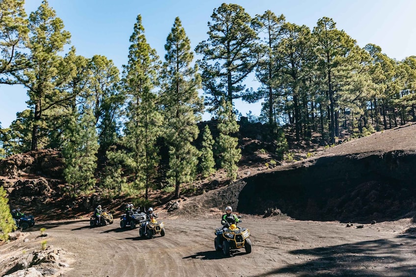 Picture 3 for Activity From Adeje: Mt. Teide Forest Off-Road Quad Tour
