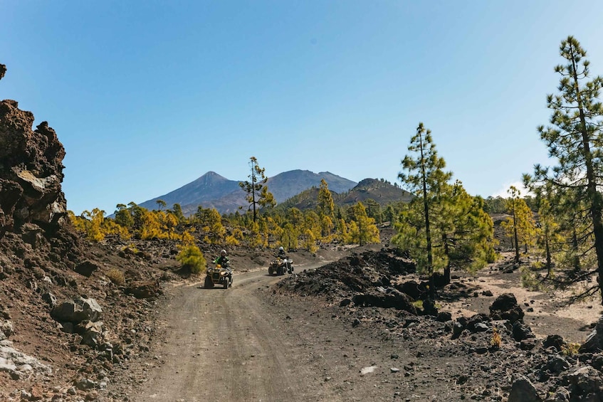 From Adeje: Mt. Teide Forest Off-Road Quad Tour