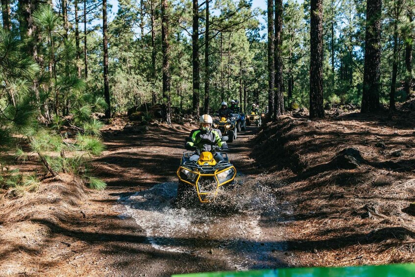 Picture 1 for Activity From Costa Adeje: Mount Teide Forest Off-Road Quad Bike Tour