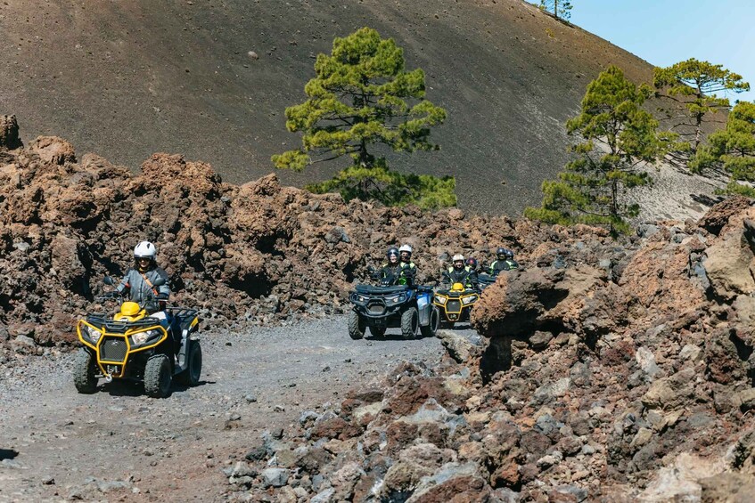 Picture 11 for Activity From Costa Adeje: Mount Teide Forest Off-Road Quad Bike Tour