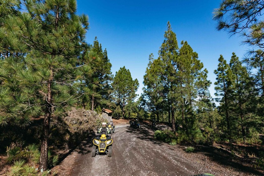 Picture 7 for Activity From Costa Adeje: Mount Teide Forest Off-Road Quad Bike Tour