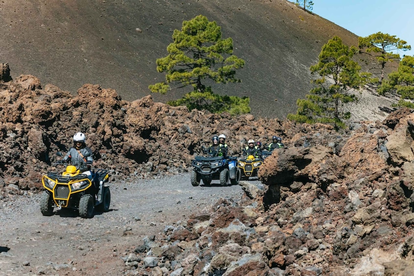 Picture 11 for Activity From Adeje: Mt. Teide Forest Off-Road Quad Tour