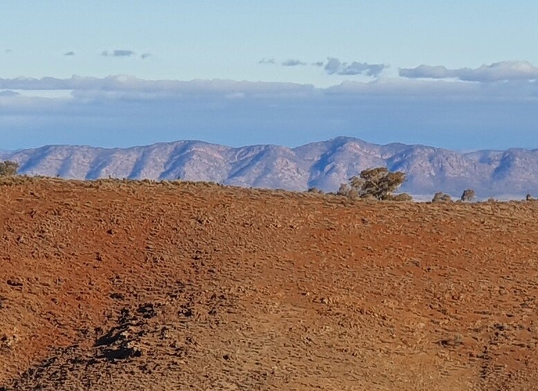 Picture 4 for Activity 5-Day SA Outback Eco Tour from Coober Pedy to Adelaide