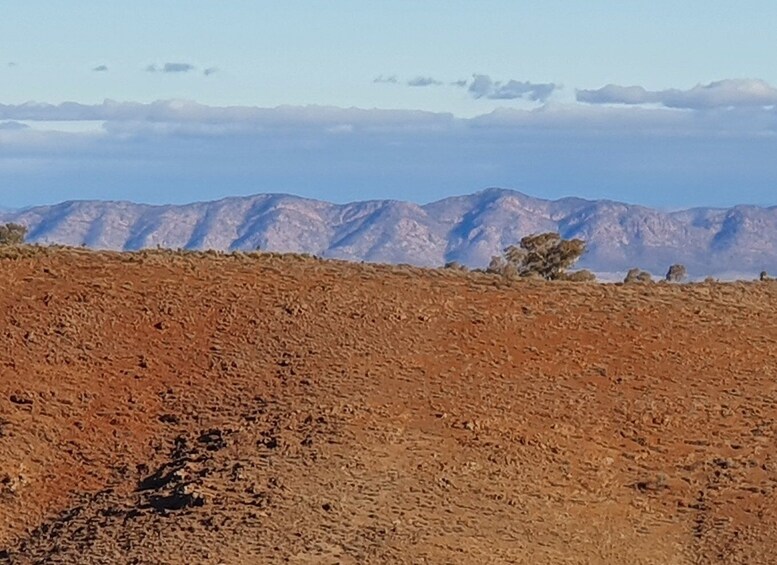 Picture 4 for Activity 5-Day SA Outback Eco Tour from Coober Pedy to Adelaide