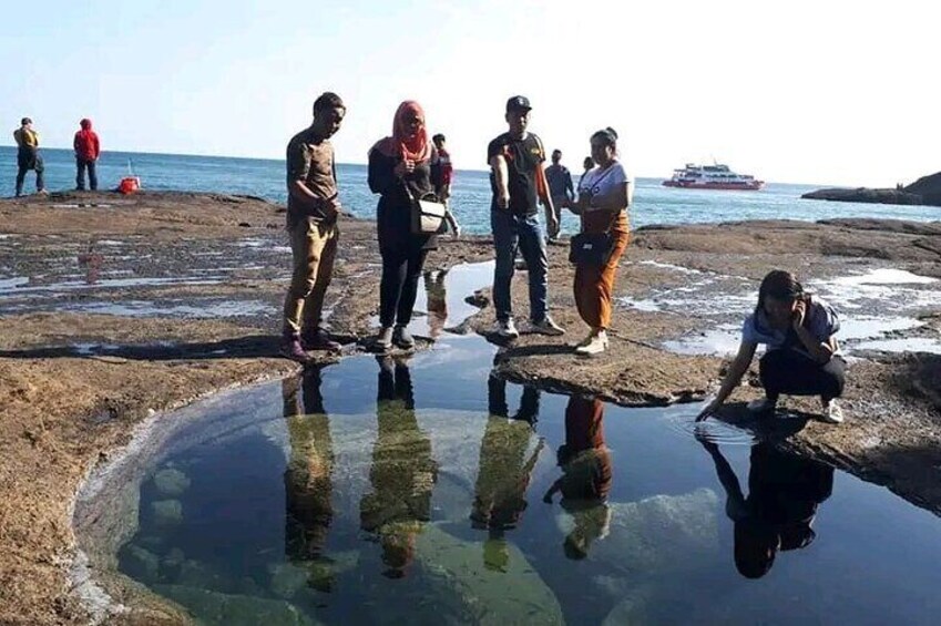 South and West Jeju Island Private Tour for Muslim Travelers