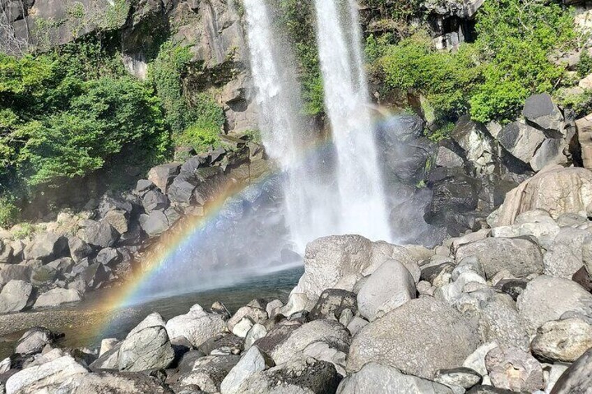 South and West Jeju Island Private Tour with Lunch in jeju island