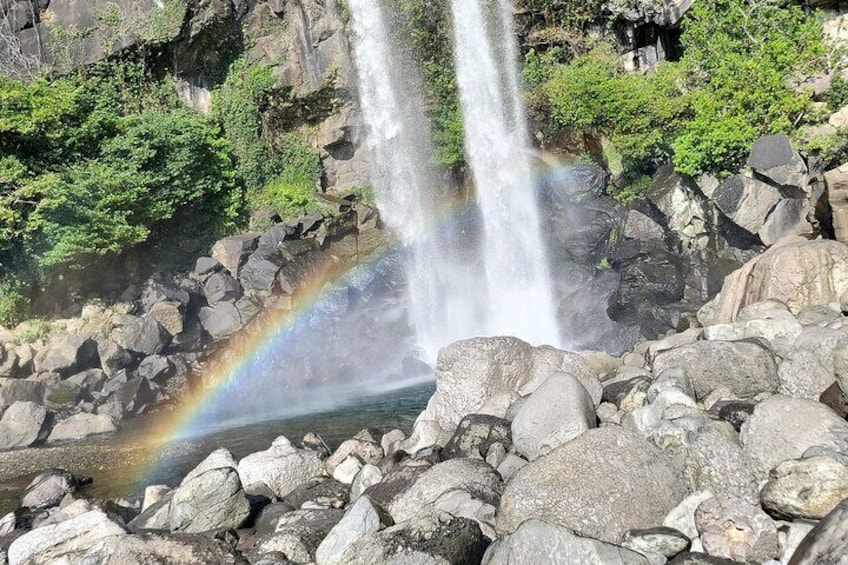 South and West Jeju Island Private Tour with Lunch in jeju island