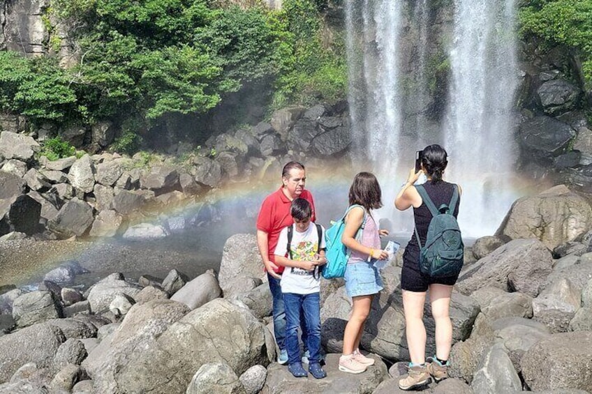 South and West Jeju Island Private Tour with Lunch in jeju island