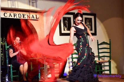 Córdoba: Biglietto per spettacolo di flamenco con bevande
