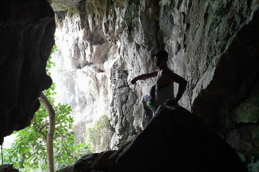 From Ninh Binh Cuc Phuong National Park One Day Trekking Tour