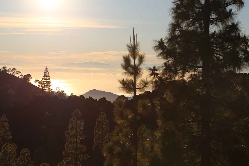 Picture 30 for Activity From Santiago del Teide: Sunset Quad Trip to Mount Teide