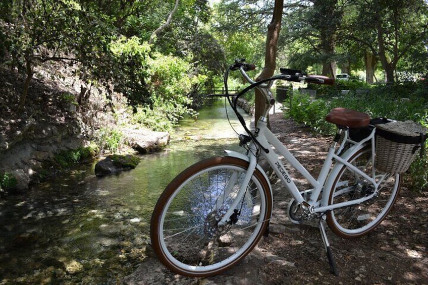 Gruene Historic District Brunch Tour