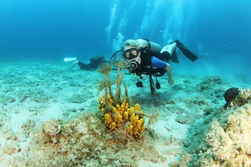 Boat Trip with Scuba and Snorkeling in Chania