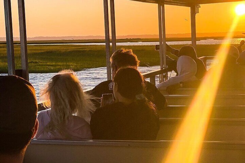 Sunset Wildlife Cruise along Assateague & Chincoteague Island