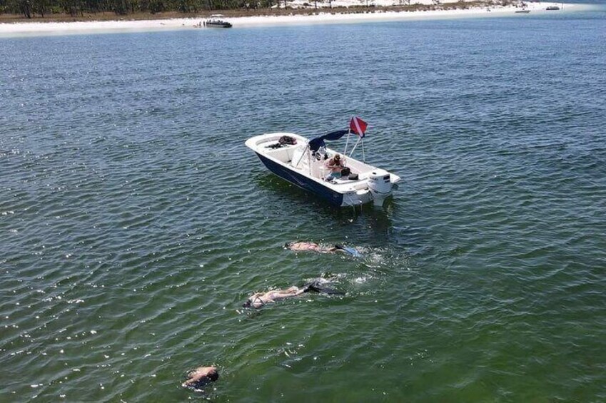 Snorkeling, Dolphin and Wildlife Sightings at St. Andrews Bay