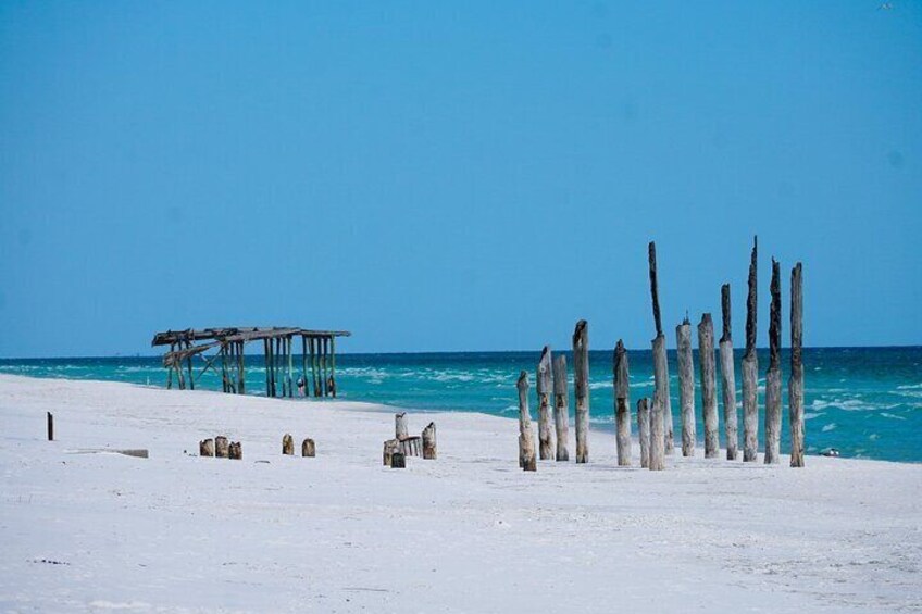 Snorkeling, Dolphin and Wildlife Sightings at St. Andrews Bay