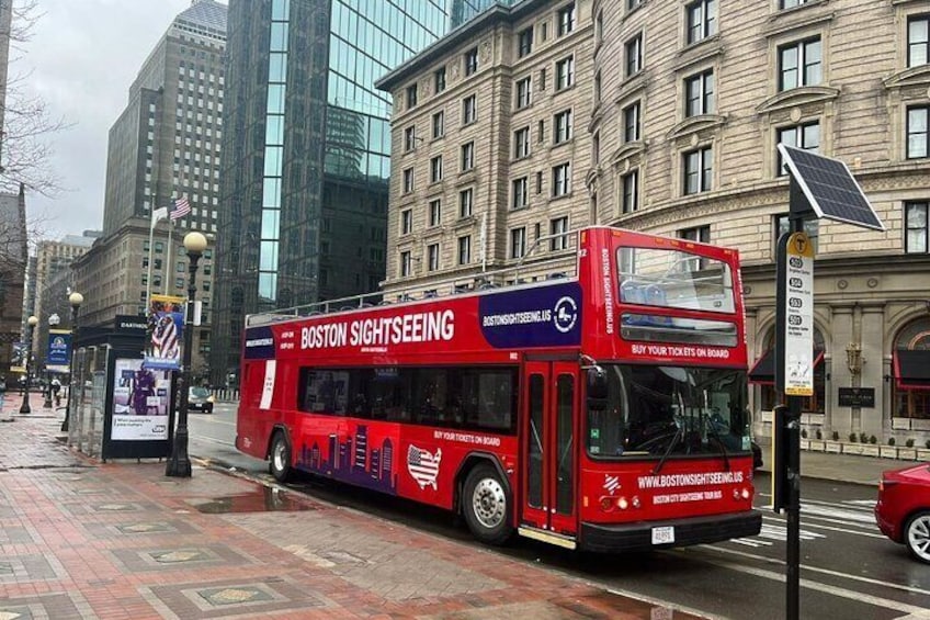 Boston Sightseeing Tour Bus