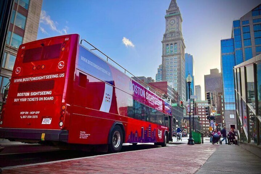 City Sightseeing Tour Bus in Boston