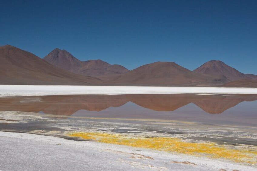 Full Day Tour to the Atacama Salt Flats