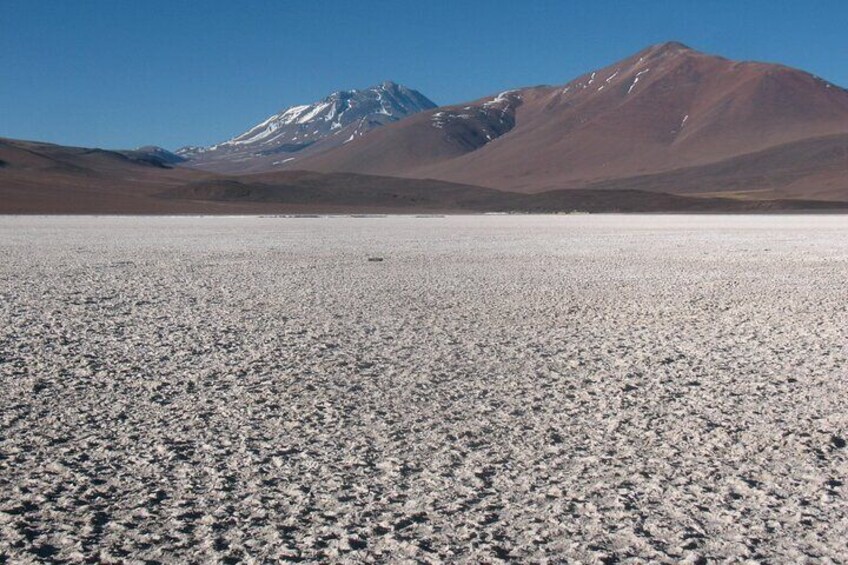 Full Day Tour to the Atacama Salt Flats