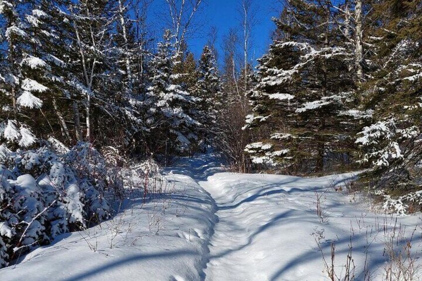 Hok ski the Knife River Loop