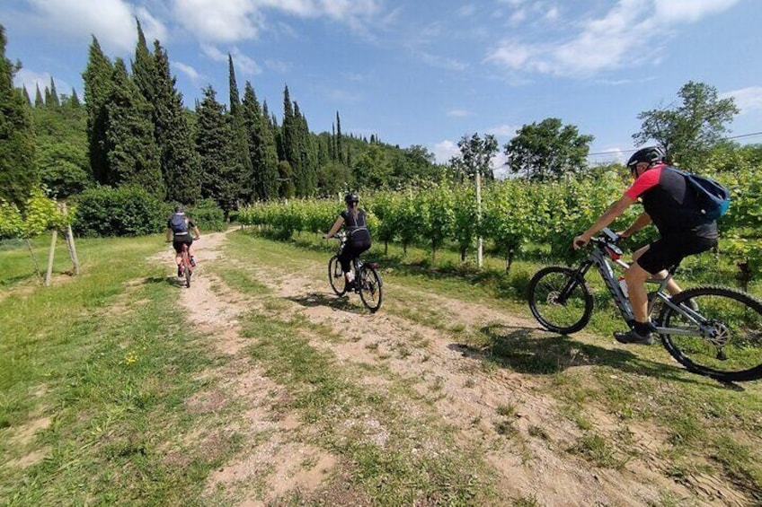 E-Bike and Wine Tour Desenzano and Lonato Hills on Lake Garda