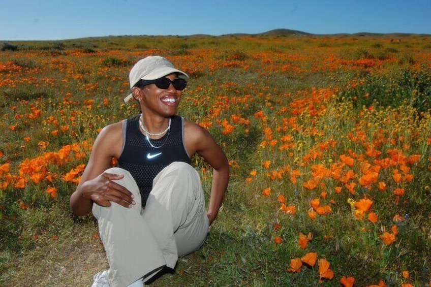 Poppy Fields