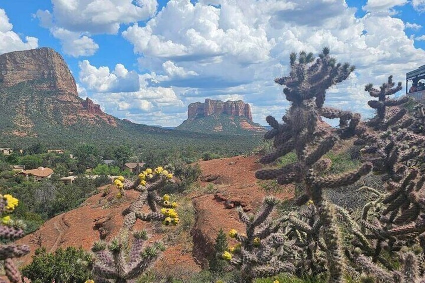 Magical Sedona Highlight Tour