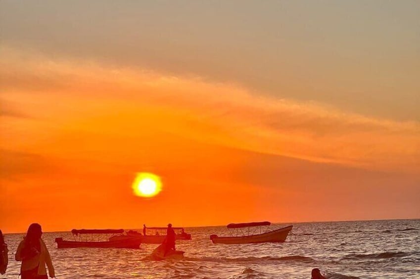 Day Trip to Playa Blanca Baru from Cartagena