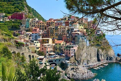 Cinque Terre Tour by Shuttle from Lucca, Pisa or La Spezia Port