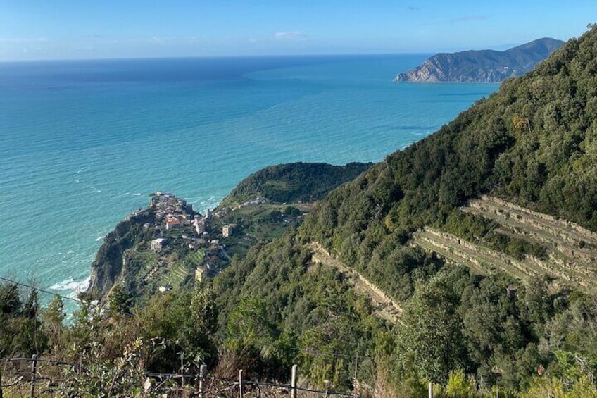 Cinque Terre Tour by Shuttle from Lucca and Pisa