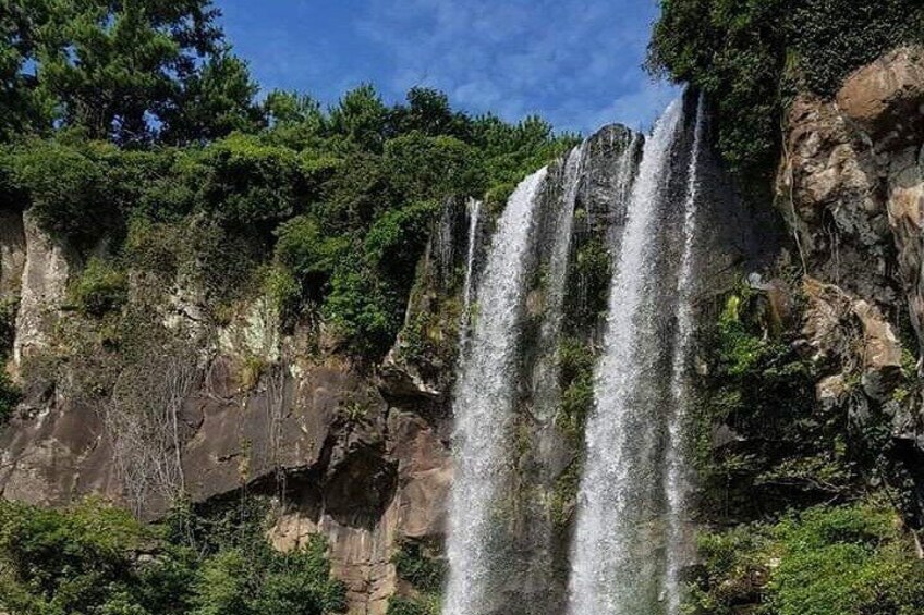 Private Tour for Muslim Travelers in a Jumbo Car, Jeju Island 