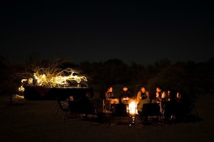 Astronomical Tour "Under the Night Sky"