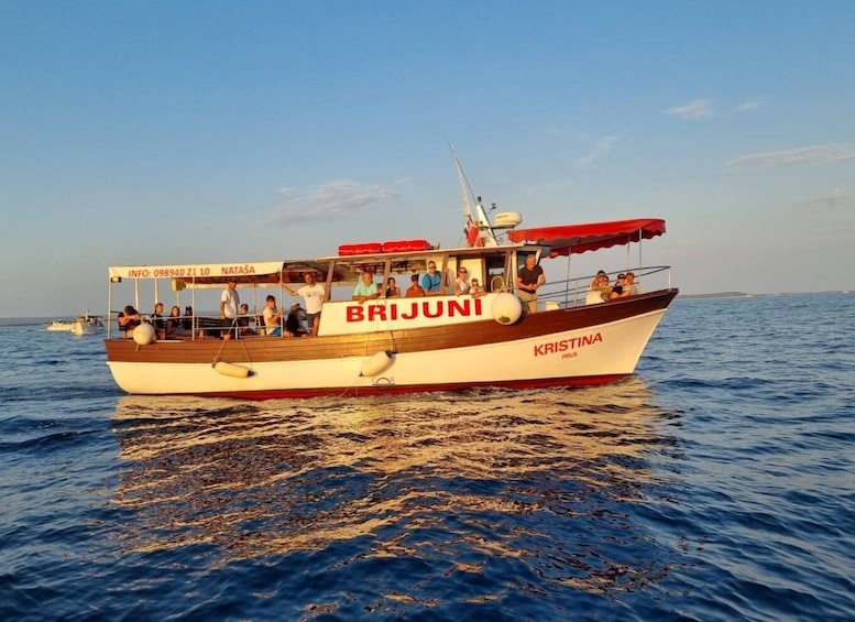 Picture 1 for Activity Fazana: Guided Dolphin Watching Sightseeing Cruise at Sunset