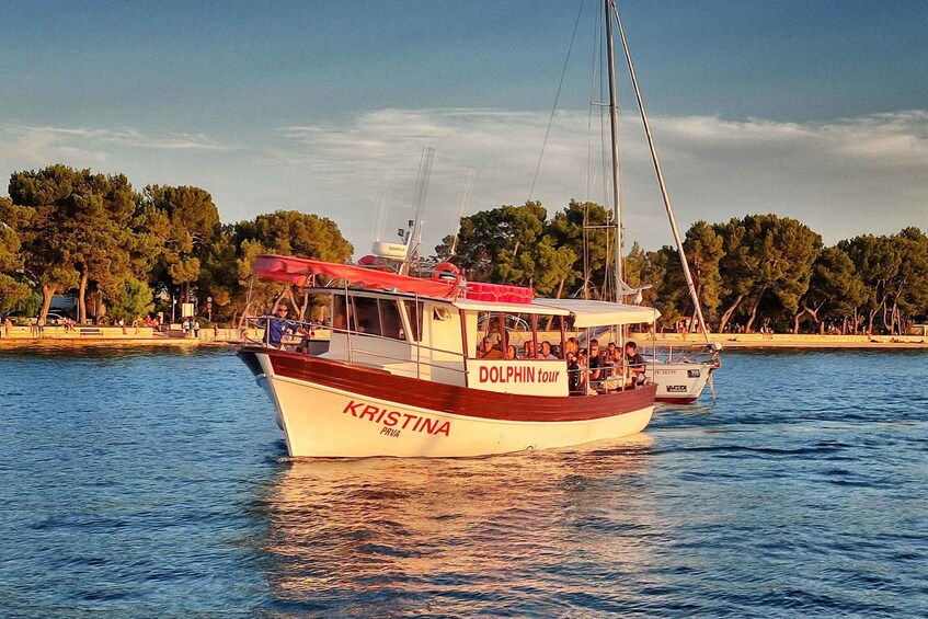 Picture 2 for Activity Fazana: Guided Dolphin Watching Sightseeing Cruise at Sunset