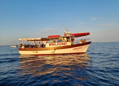 Fazana: crucero turístico guiado para observar delfines al atardecer