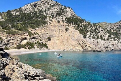 Mallorca Boat "Adventurer" Tour inc Drinks, Tapas, SUP & Snorkel