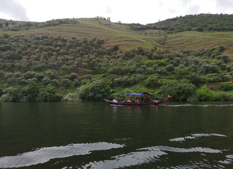 Picture 4 for Activity Pinhão: Private Rabelo Boat Tour along the River Douro