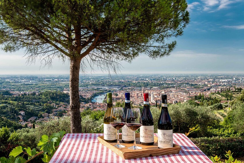 Picture 1 for Activity Verona: Wine Tasting with Snacks and Panoramic City Views