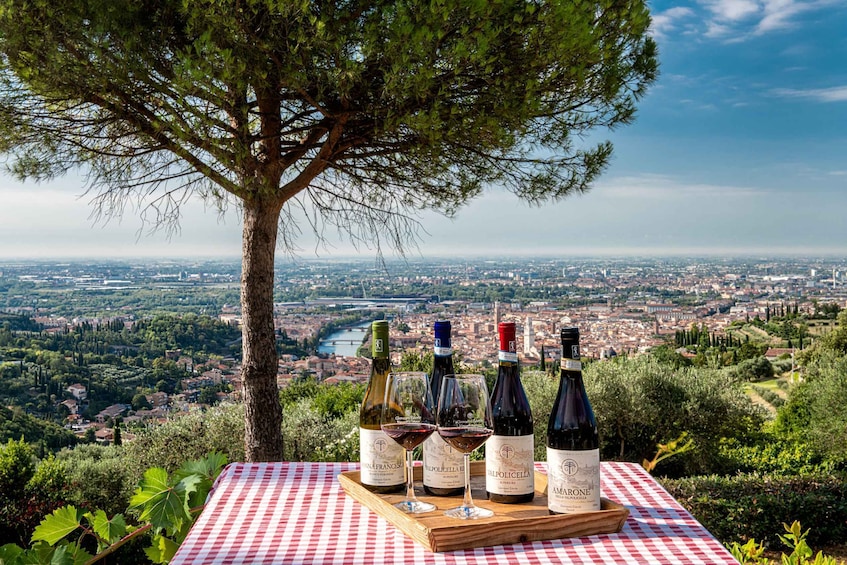 Picture 1 for Activity Verona: Wine Tasting with Snacks and Panoramic City Views
