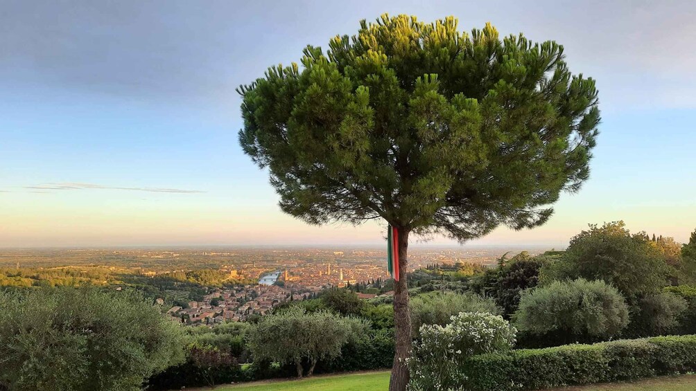 Picture 8 for Activity Verona: Wine Tasting with Snacks and Panoramic City Views