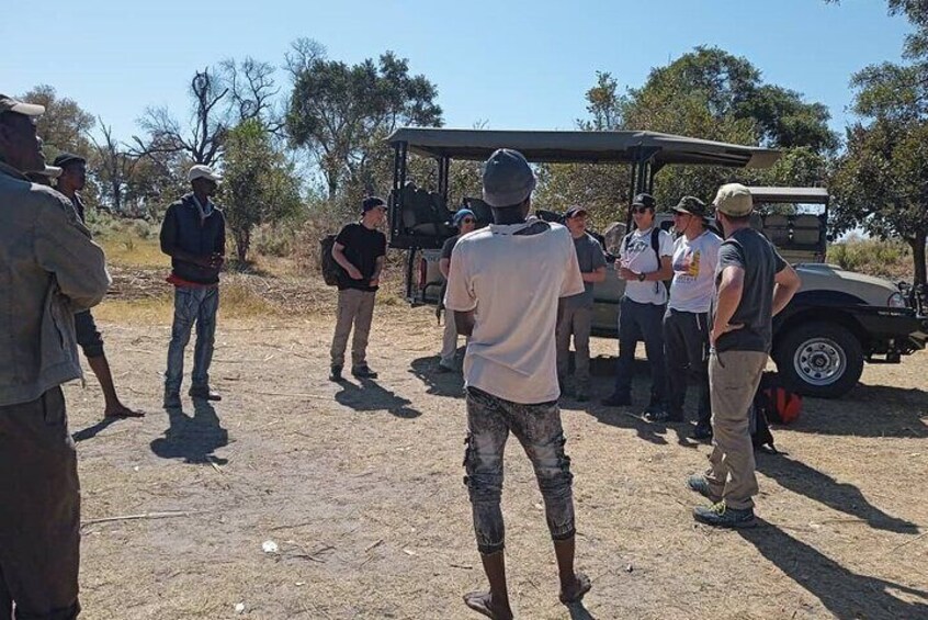 Mokoro Full Day Trip-Okavango Delta