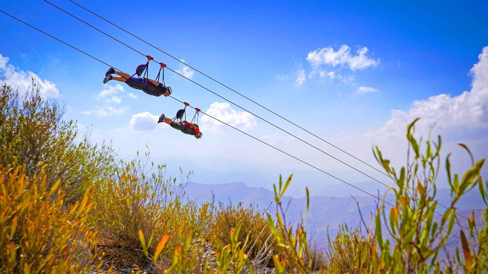 Ras al Khaimah: Jais Adventure Park Zipline Ticket