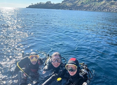 Catania: buceo para buceadores patentados