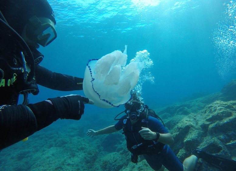 Picture 15 for Activity Catania : Diving for patented divers