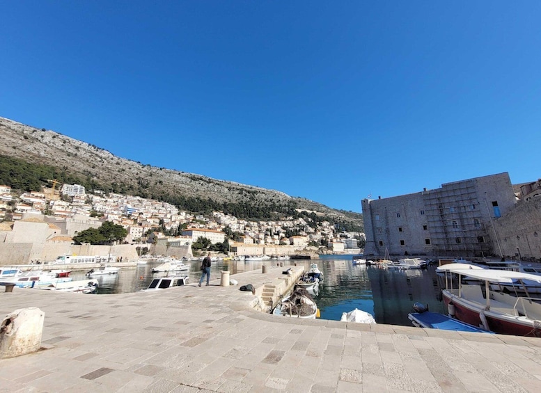 Dubrovnik: Old Town Highlights Tour with Audio Guide