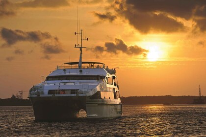 Benoa Bali: Dinner-Kreuzfahrt bei Sonnenuntergang mit Show und Live-Musik