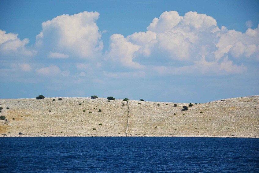 Picture 7 for Activity Zadar: Kornati National Park Full-Day Speedboat Trip