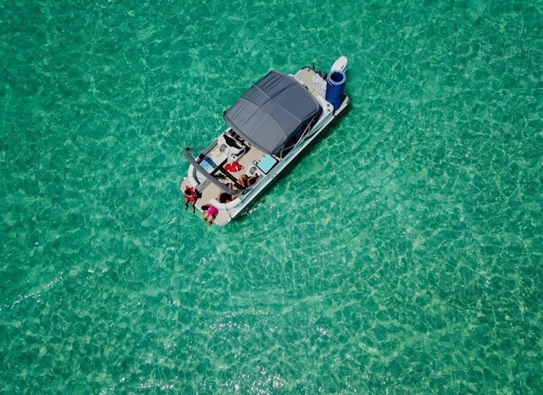 Picture 18 for Activity Clearwater Beach: Private Pontoon Tours